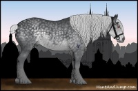 Horse Color:Silver Black Chinchilla