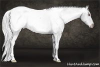 Horse Color:Silver Black Chinchilla Snowcap Rabicano 