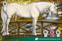 Horse Color:White Spotted Liver Chestnut Pearl Appaloosa  and Silver Buckskin Dun Tobiano 
