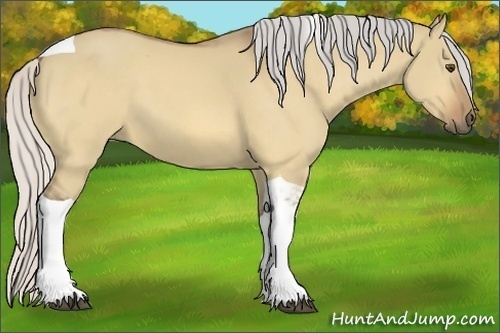 Horse Color:Silver Buckskin Dun Tobiano 