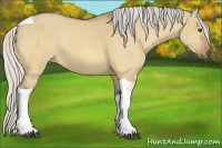 Horse Color:Silver Buckskin Dun Tobiano 