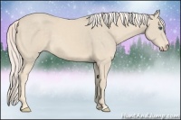 Horse Color:Cremello 