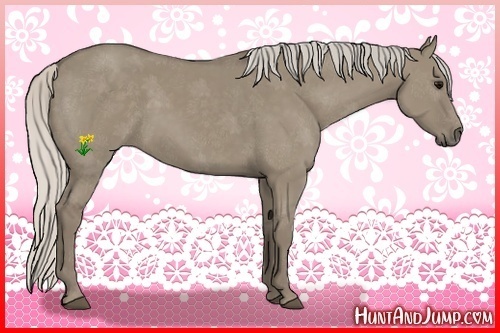 Horse Color:Silver Smoky Grullo 