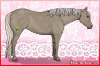 Horse Color:Silver Smoky Grullo