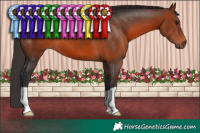Horse Color:Brown 
