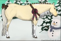 Horse Color:Silver Buckskin Dun Tobiano 