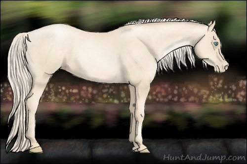 Horse Color:Gold Cream Champagne Pearl 