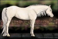 Horse Color:Gold Cream Champagne Pearl