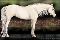 Horse Color:Gold Cream Champagne Pearl 