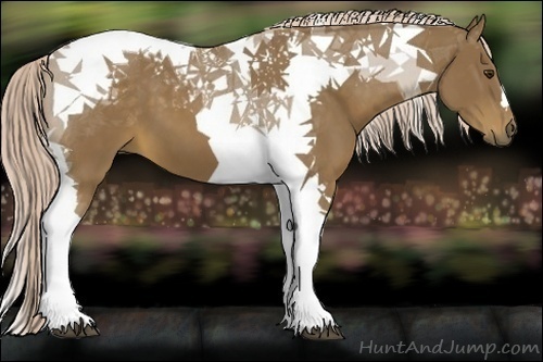 Horse Color:Chocolate Palomino Tobiano 