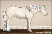Horse Color:Silver Amber Cream Champagne Pearl 