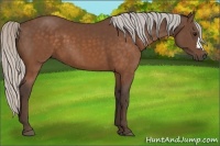 Horse Color:Silver Brown 