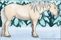 Horse Color:Gold Cream Champagne Pearl 