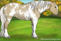 Horse Color:White Spotted Silver Smoky Grullo Rabicano