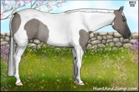 Horse Color:Grullo Tobiano Frame Rabicano