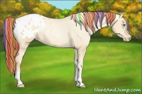 Horse Color:Painted Classic Champagne Pearl Dun Sabino Tobiano Blanket Rabicano 
