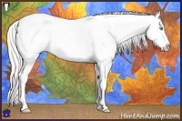 Horse Color:Gold Cream Champagne Pearl Appaloosa 