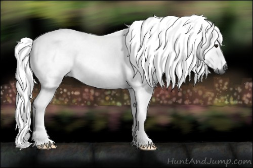 Horse Color:Gray Bay