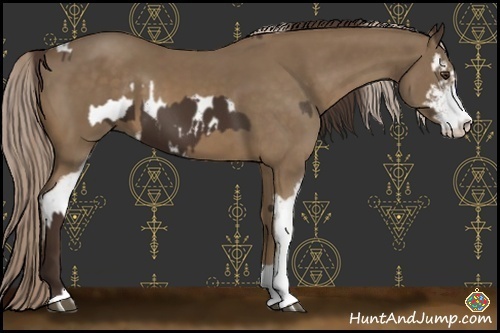 Horse Color:Liver Chestnut Sabino Splash Near Leopard and Chocolate Palomino Sabino