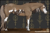 Horse Color:Liver Chestnut Sabino Splash Appaloosa  and Chocolate Palomino Sabino 