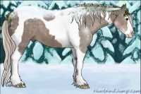 Horse Color:Silver Black Splash Tobiano 