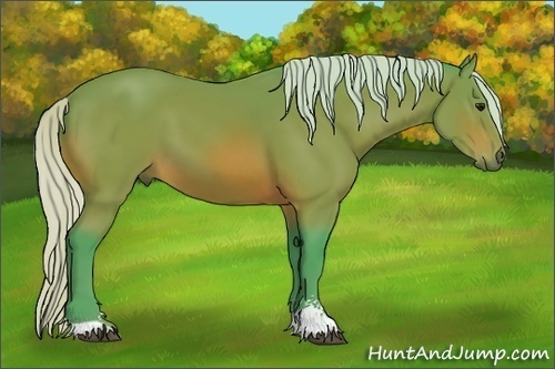 Horse Color:Watercolor Silver Bay Sabino 