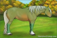 Horse Color:Watercolor Silver Bay Sabino 