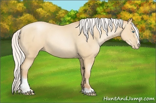 Horse Color:Silver Amber Champagne Pearl Sabino 
