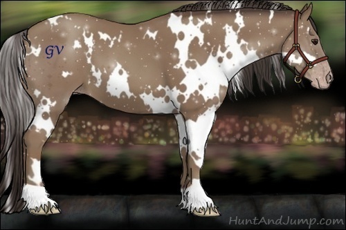 Horse Color:White Spotted Classic Champagne 