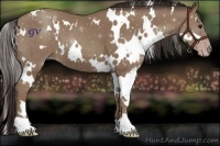 Horse Color:White Spotted Classic Champagne 