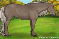 Horse Color:Silver Black 