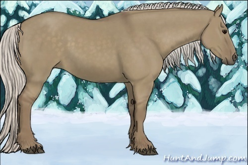 Horse Color:Silver Smoky Grullo 