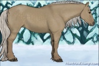 Horse Color:Silver Smoky Grullo 