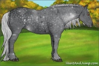 Horse Color:Silver Black Chinchilla 