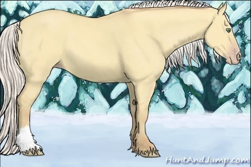Horse Color:Silver Amber Cream Champagne Dun 