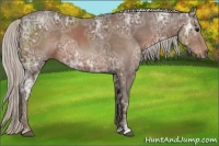Horse Color:Silver Black Ice Sabino 