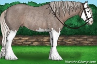 Horse Color:Silver Blue Roan Sabino Splash Rabicano