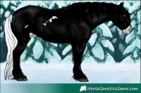 Horse Color:Plaid  Chocolate Silver Brown Chinchilla Sabino Splash Appaloosa  and Plaid  Chocolate Silver Brown Chinchilla Sabino Splash Appaloosa 