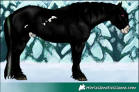 Horse Color:Plaid Chocolate Silver Brown Chinchilla Sabino Splash Appaloosa and Plaid Chocolate Silver Brown Chinchilla Sabino Splash Appaloosa