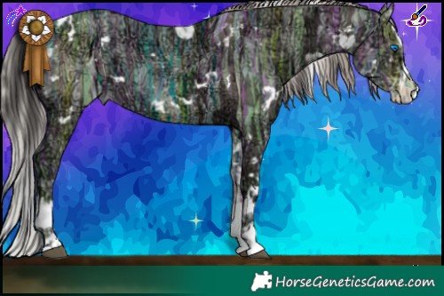 Horse Color:White Spotted Smoky Black Ice Sabino Splash  and White Spotted Silver Grullo Ice Sabino Splash 