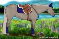 Horse Color:Silver Grullo 