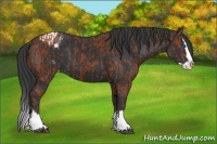 Horse Color:Brown Sabino Splash Varnish and Black Sabino Splash Varnish