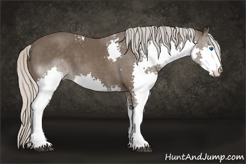 Horse Color:White Spotted Silver Black Splash 