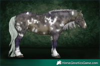 Horse Color:Watercolor White Spotted Silver Brown Ice Dun Sabino 