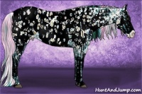 Horse Color:Watercolor Liver Chestnut Sabino Splash Appaloosa  and Watercolor Bay Sabino Splash Appaloosa 