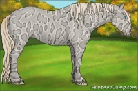 Horse Color:Perlino Ice Roan 