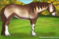 Horse Color:Red Onyx 