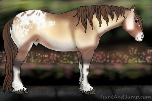 Horse Color:Buckskin Onyx Varnish