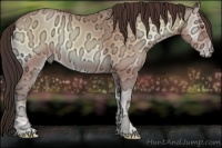 Horse Color:Amber Champagne Ice Onyx 