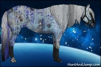 Horse Color:ERROR: UNKNOWN ANOMALY and ERROR: UNKNOWN ANOMALY